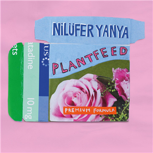 Nilufer Yanya's new single produced by Liam Howe